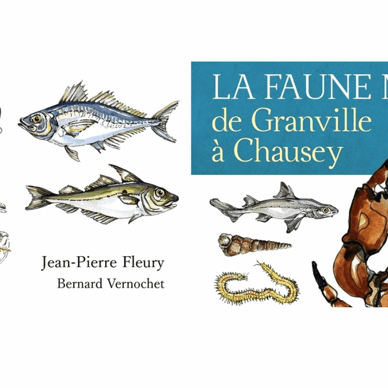 faune-marine