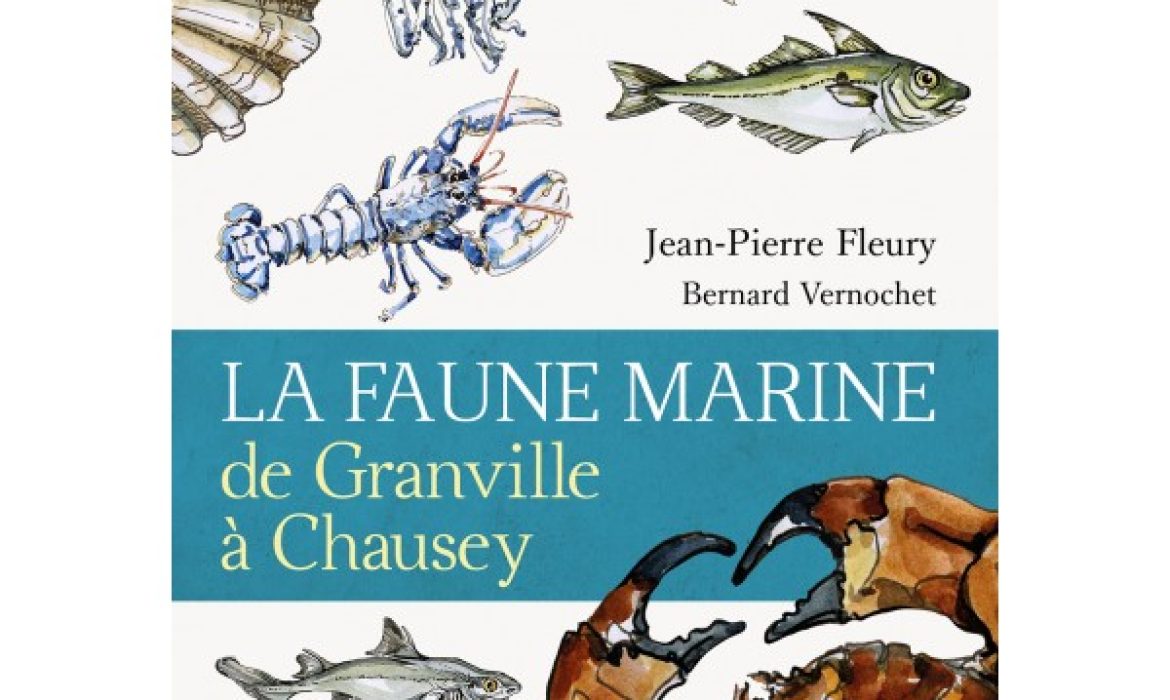 la-faune-marine-de-granville-a-chausey
